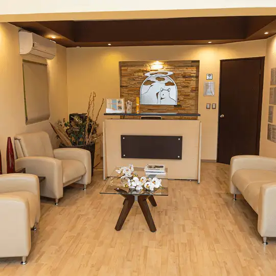 CREMASCOTA-CREMACION-PARA-MASCOTA-instalacion-2