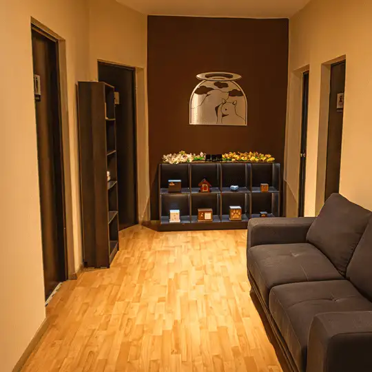 CREMASCOTA-CREMACION-PARA-MASCOTA-instalacion-3