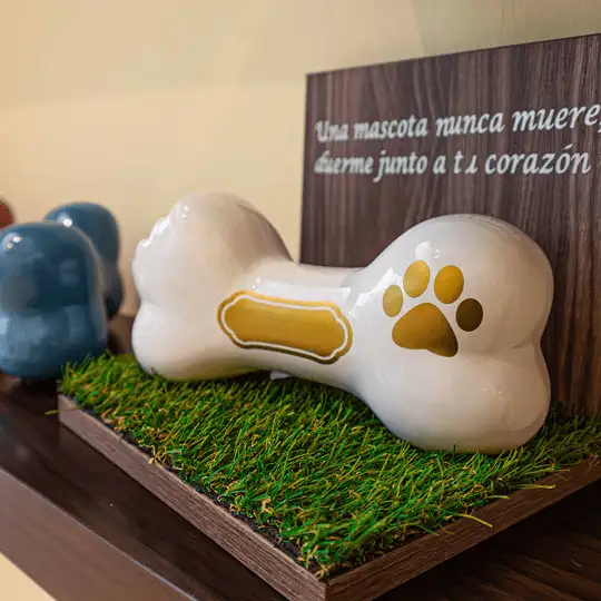 CREMASCOTA-CREMACION-PARA-MASCOTA-instalacion-4